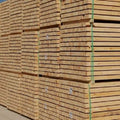 Popular Hardwoods Poplar Lumber Building Materials Supply Mukulungu wood