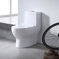 Ceramic Toilet One Piece Wc Toliet Flush Pipe Component Best Selling Classic Floor Mounted Modern Hotel Accept Style Ivory White